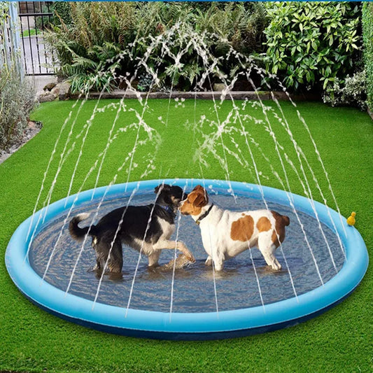 Pet Splash & Play Fountain