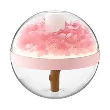 Aroma Humidifier