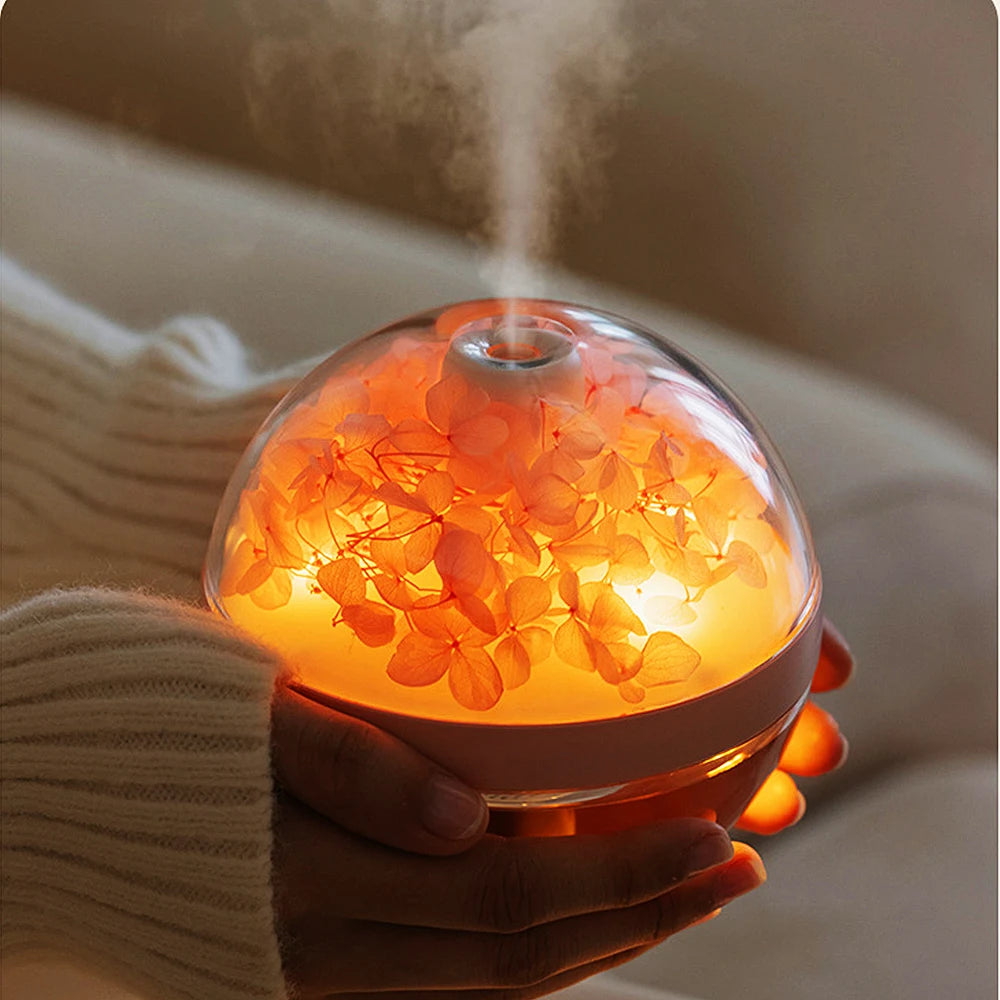 Aroma Humidifier